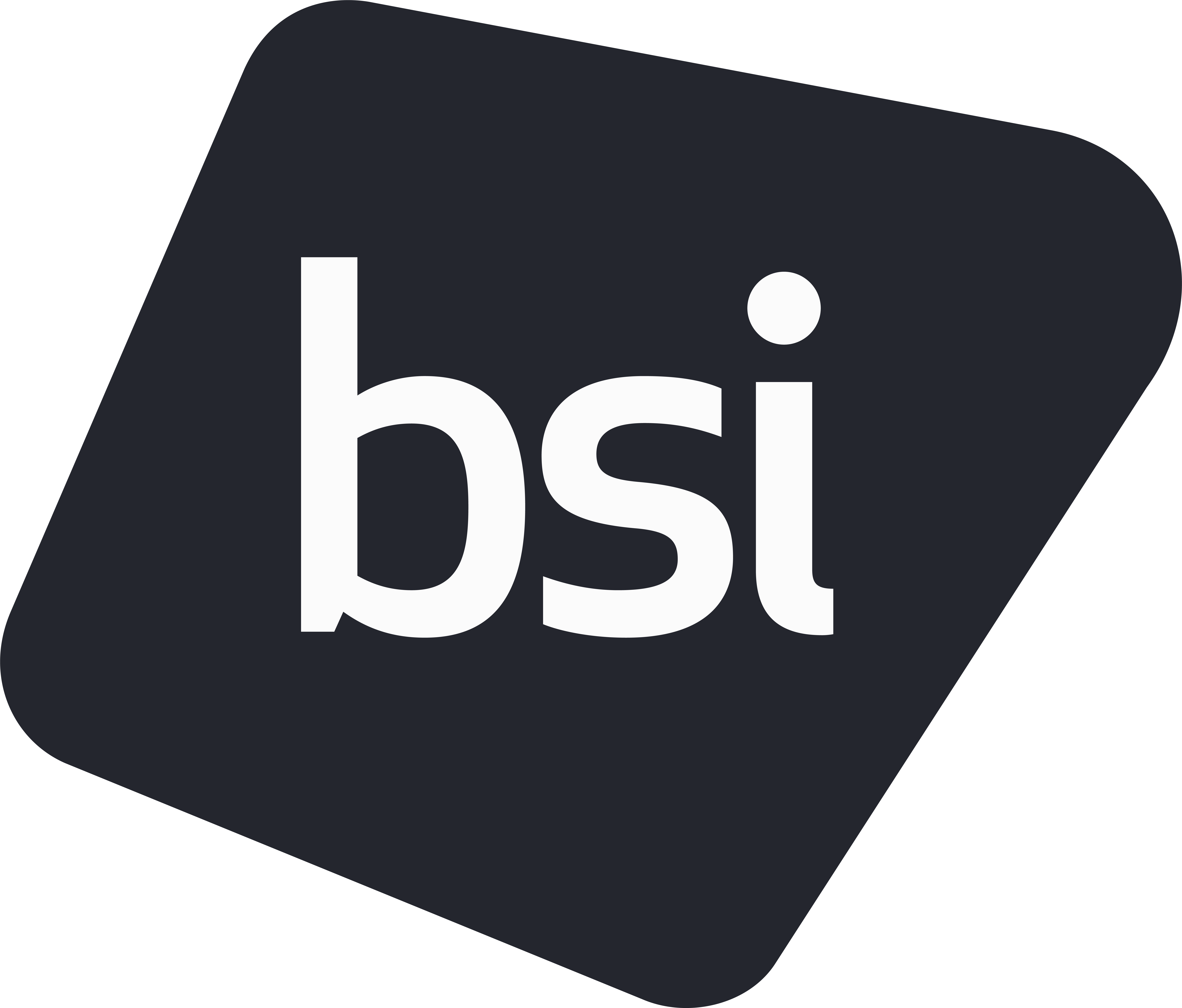 BSI logo black 01