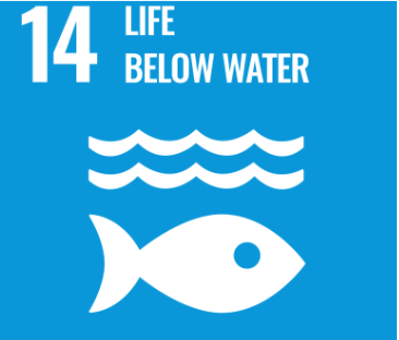 Screenshot 2024 11 07 at 16 27 17