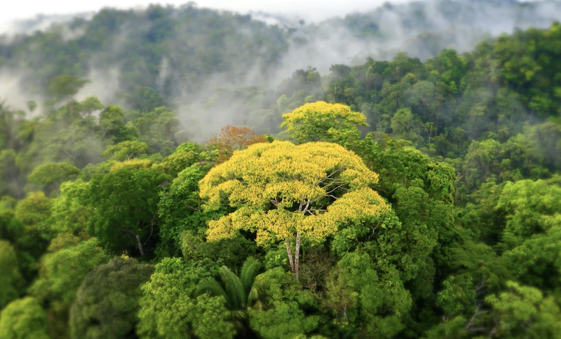 Screenshot 2025 01 20 at 14 32 28